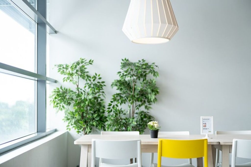 Live Plants