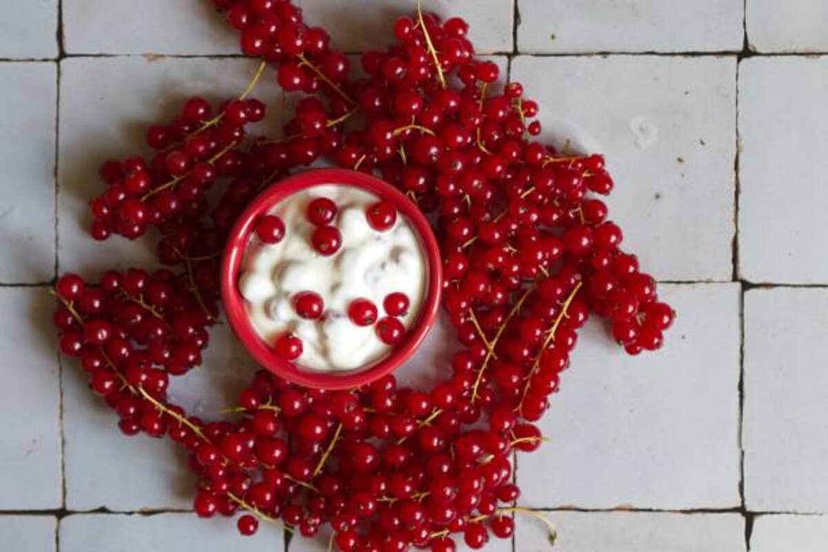 Red Slippery Bounty