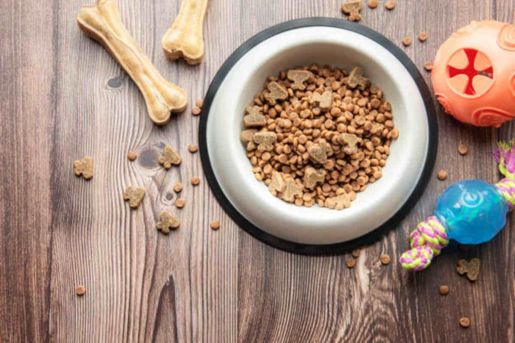 Why Buy a 100 lb Bag of Dog Food?