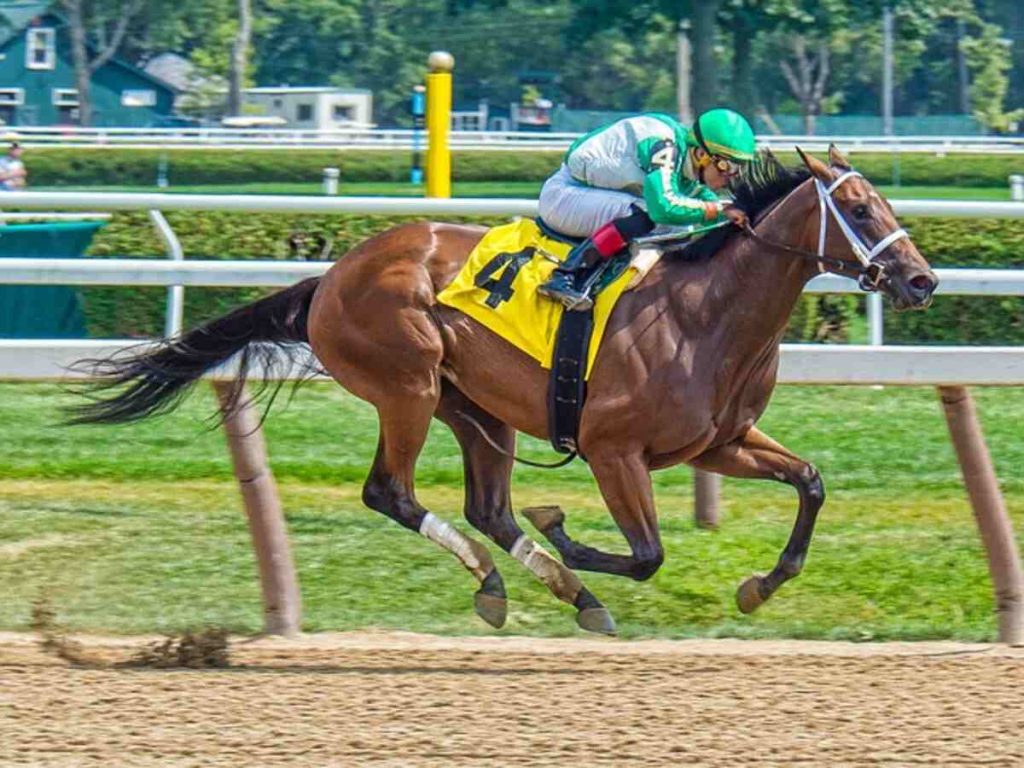 betting risk management software