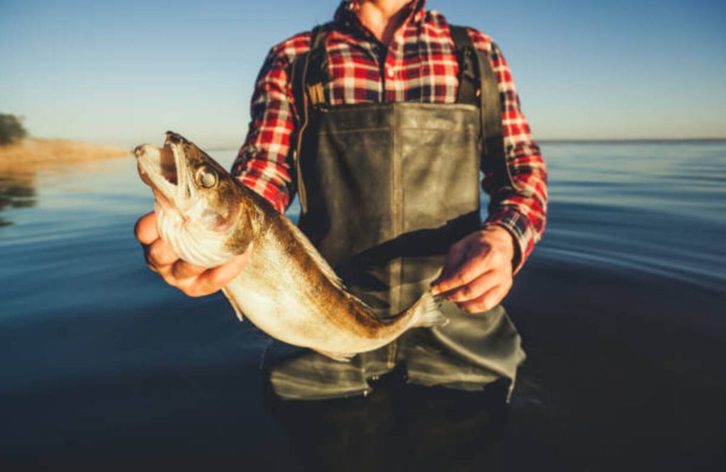Fisherman Shirt