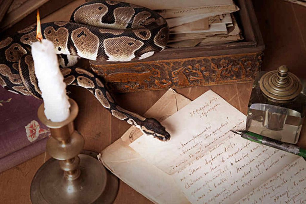 A Poem About the Snake