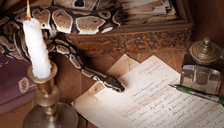 A Poem About the Snake