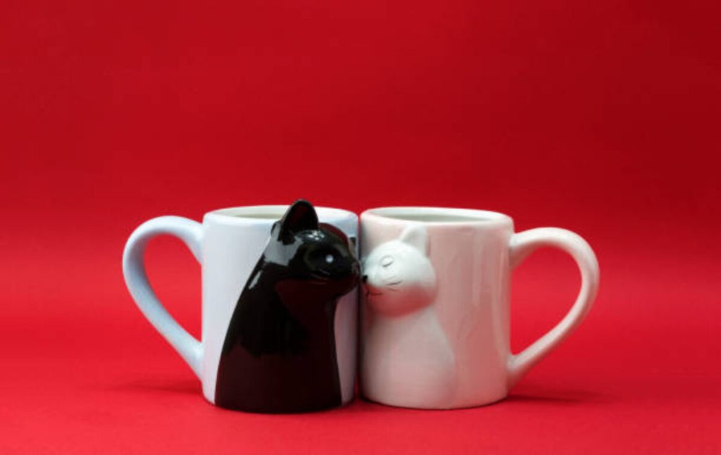 Gifts for cat lovers