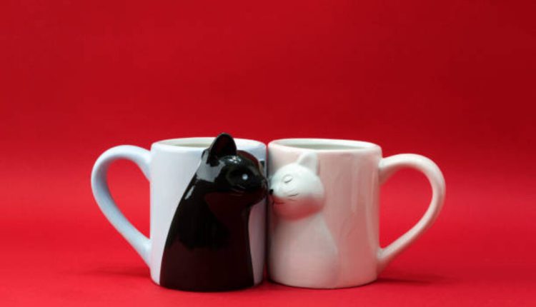 Gifts for cat lovers