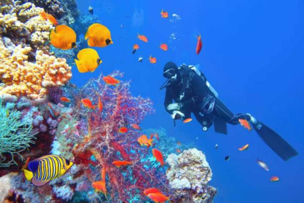 dive sites (1)