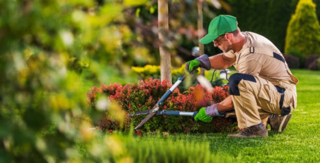 landscape contractors Santa Clara