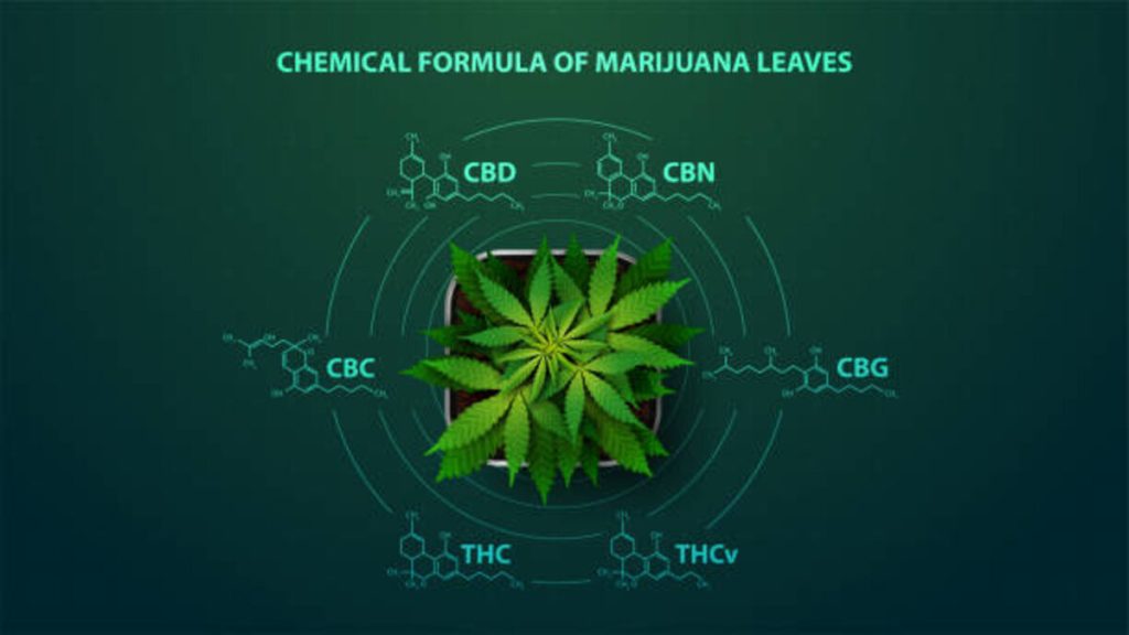 exotic THCa