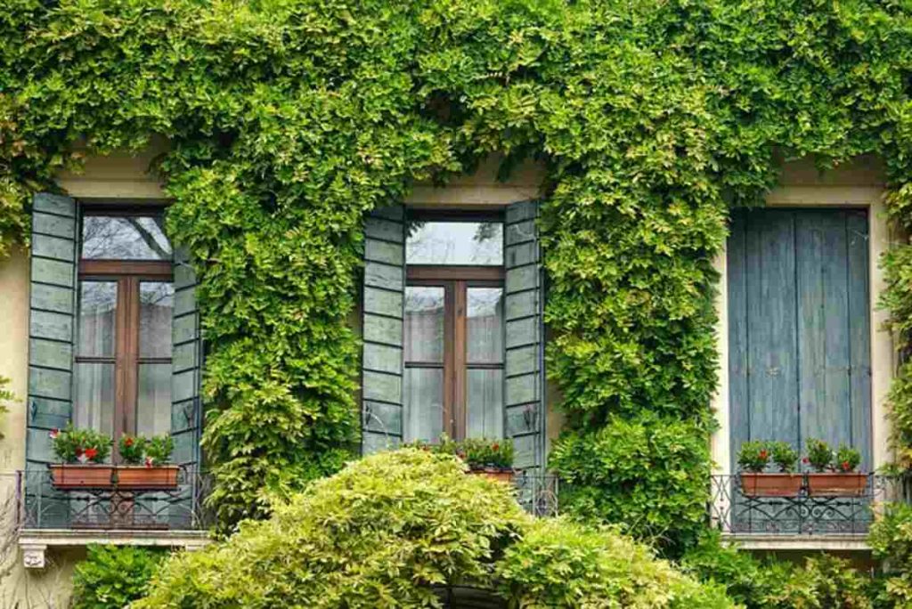 solar film for windows singapore