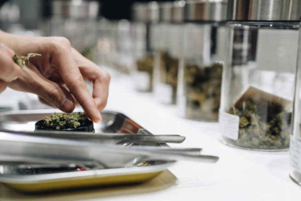 Know About Bulk THCA Flower