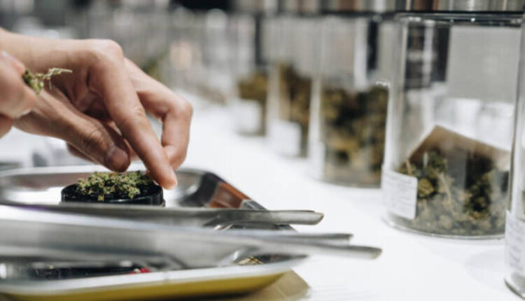 Know About Bulk THCA Flower