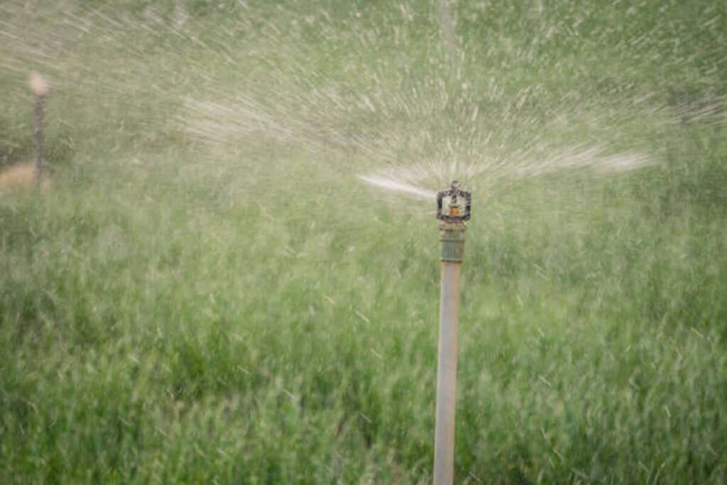 sprinkler blowout Seattle WA