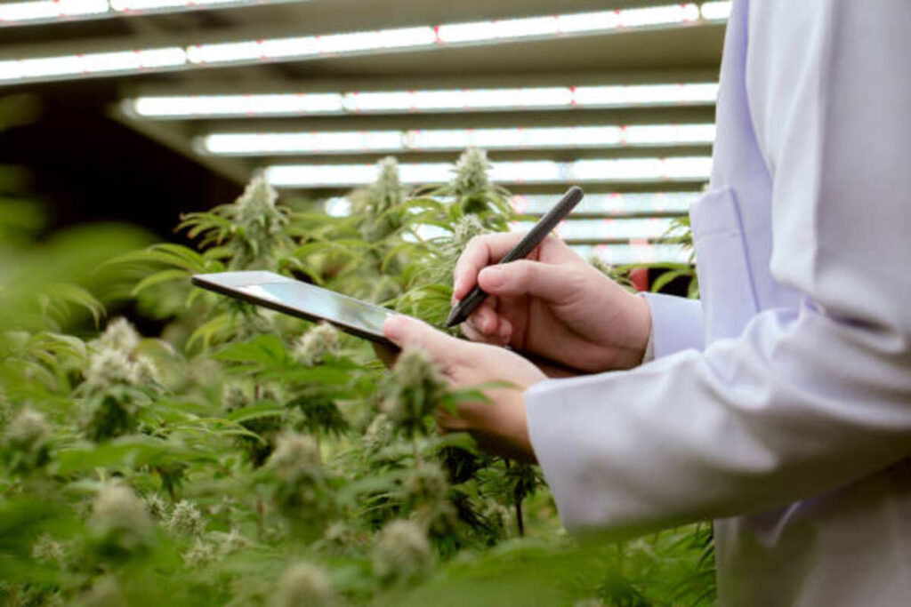 Benefits associated with Using an Electric Nectar Enthusiast