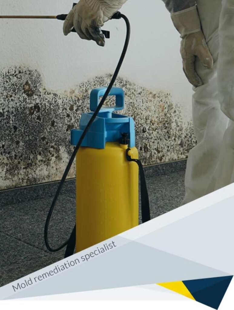 When to call a mold removal specialist
