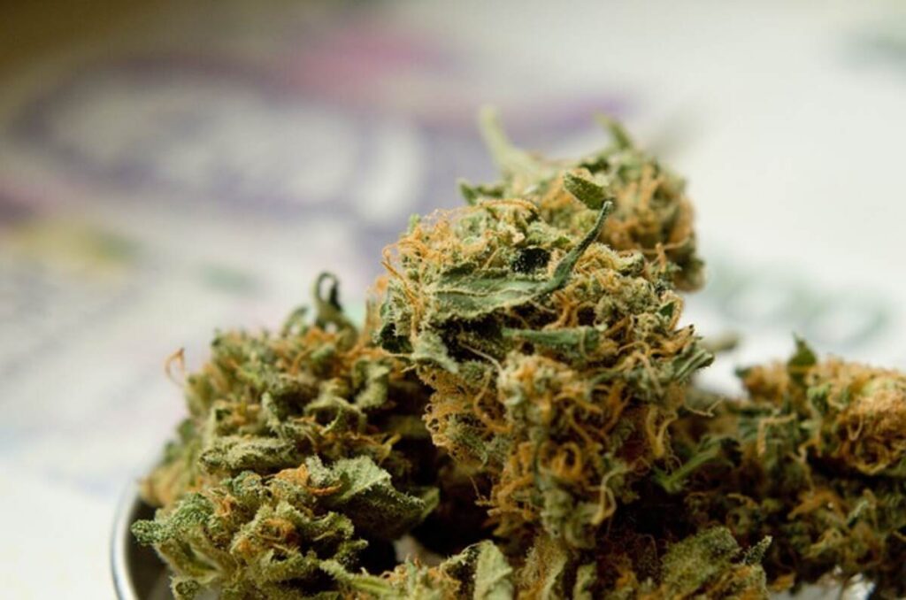 THCA Flower Bulk