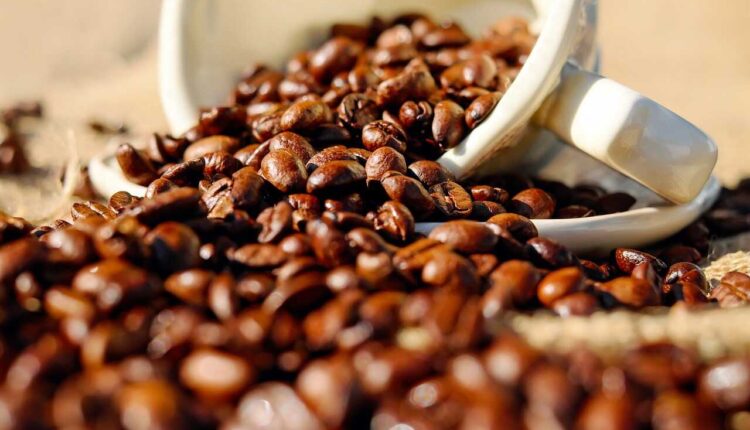 Coffee bean near me in Indonesia Astonishing Adventures 7