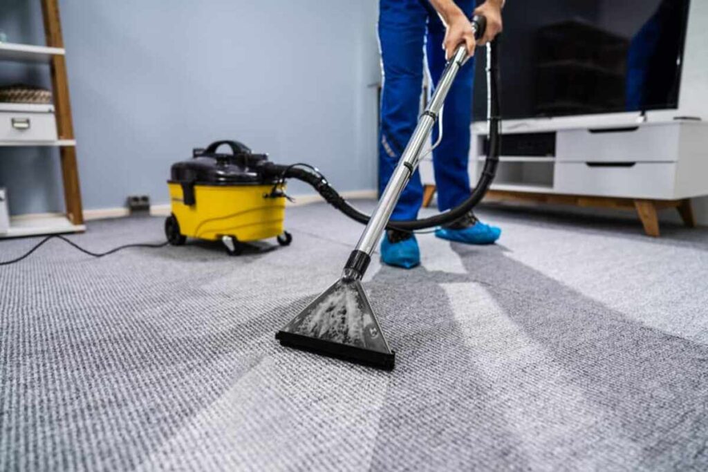 carpet steam cleaning